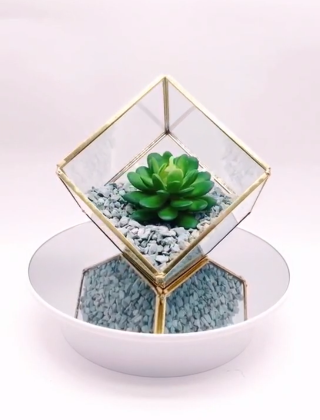 Plant room glass terrarium - JW0018/19