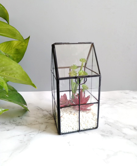 Plant room glass terrarium - JW0020/21