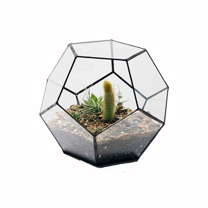 Plant room glass terrarium - JW0008/9
