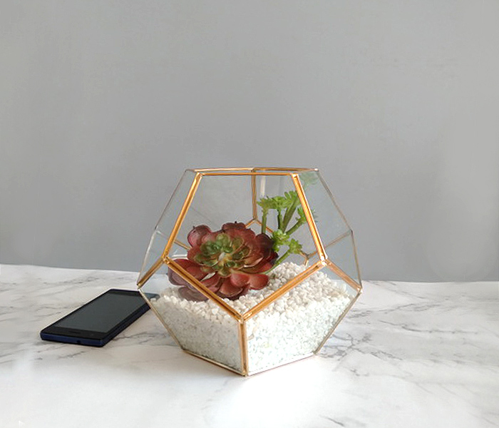 Plant room glass terrarium - JW0008/9
